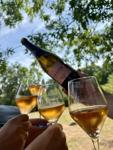 Trinquer avec un champagne de vigneron en plein air