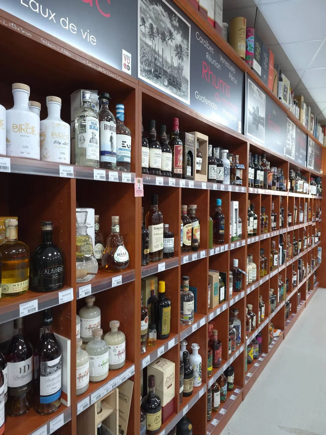 Rayon de rhums, gins et spiritueux